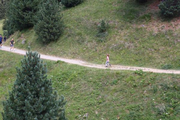 The photo captures a winding dirt path traversing a lush green hillside, dotted with numerous coniferous trees
